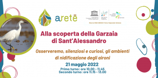 21 maggio Giornata Europea Rete Natura 2000: invito alla scoperta della garzaia di Sant’Alessandro con il progetto Aretè.