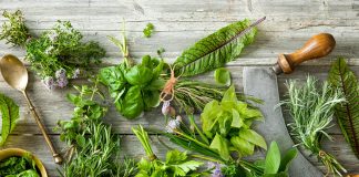 I profumi delle erbe aromatiche in Piazza Portello sabato 14 e domenica 15.