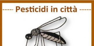 Controllo delle zanzare. Legambiente e ISDE scrivono ai sindaci lombardi: no a insetticidi spray in parchi e condomini, sono pericolosi per salute e biodiversità.