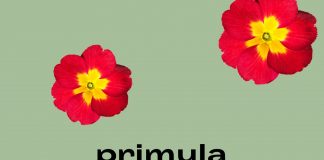 Il Martinitt arriva per primo e… premia il pubblico. La stagione 2022-2023 è pronta a tempi di record.