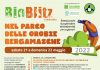 Torna Bioblitz Lombardia nel Parco delle Orobie Bergamasche: quattro appuntamenti sabato 21 e domenica 22.