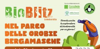 Torna Bioblitz Lombardia nel Parco delle Orobie Bergamasche: quattro appuntamenti sabato 21 e domenica 22.