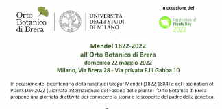 Aperture straordinarie degli Orti Botanici dell’Univeristà Statale: sabato 21 a Città Studi e domenica 22 a Brera, dalle 10 alle 18, ingresso libero.