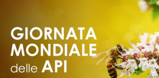 Festa delle Api, da venerdì 20 a domenica 22 apicoltura, design e biodiversità.