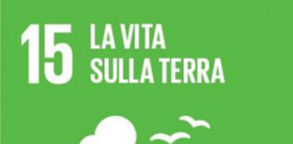 Agenda 2030 – Villa Arconati FAR: Vita sulla Terra. Lezione itinerante con letture de “il piccolo principe” domenica 29.