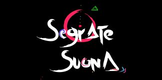 Segrate Suona, si cercano band e musicisti.