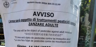 Lotta alle zanzare, Legambiente contro l’utilizzo di pesticidi.