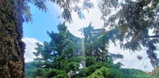 Segrate intitola il giardino di via Schuster ai fratelli clarettiani Vittorio e Dario Martino.