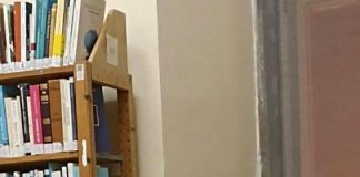 “Management ed economia dell’ambiente per lo sviluppo sostenibile” di Michelangelo Raccio libro di testo per il corso di Laurea in Turismo, management e cultura alla IULM di Milano.