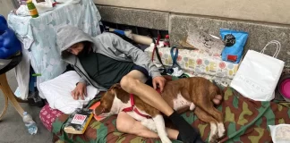 Milano, un aiuto per Denis e Stich. La solidarietà per un senzatetto e il suo cucciolo.