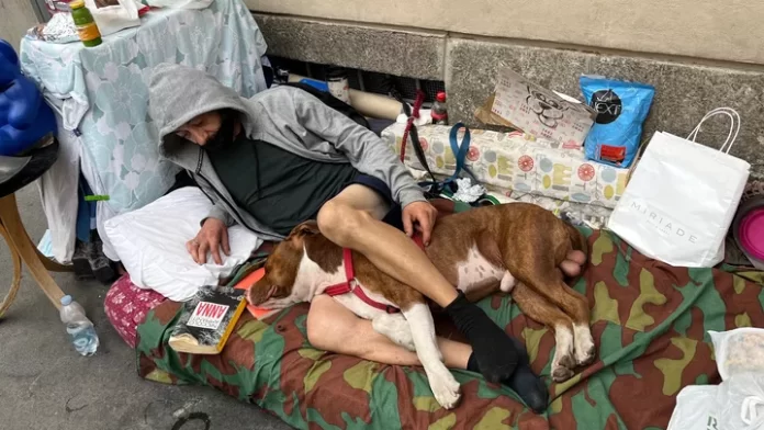 66447423_1657155668675083_r