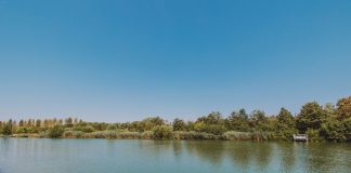 Siccità, da Gruppo Cap acqua depeurata per irrigazione Parco Nord.
