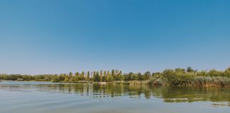 Garante del Verde, attenzione al ciclo dell’acqua