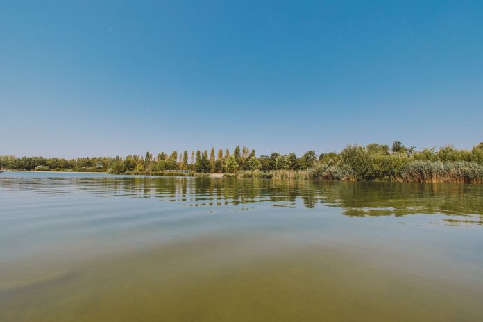 Acqua depurata per il Parco Nord (4)