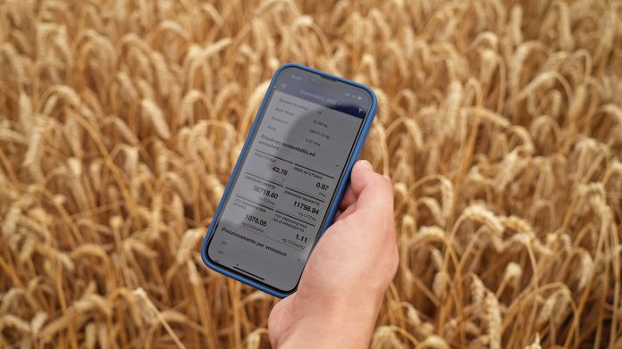 BarillaFarming_wheat