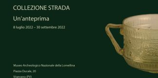 La Collezione Strada al Museo Archeologico Nazionale della Lomellina a Vigevano.