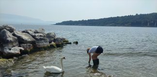 Allarme siccità, grandi laghi già allo stremo: nel Garda mancano 220 milioni di metri cubi per l’irrigazione.