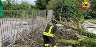 Temporali a Milano, oltre 120 interventi dei Vigili del Fuoco. Ferrovia Mortara-Porta Genova interrotta per caduta alberi.