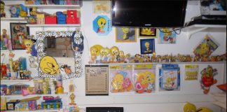 Uno “stormo” di 1.500 canarini gialli per la Casa Sollievo Bimbi di VIDAS.