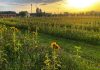 Agricola delle Meraviglie, i laboratori Garden Steflor a Vimodrone.