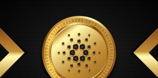 Vasil, l’aggiornamento di Cardano lanciato con successo