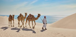 A 100 giorni dai Mondiali, ecco come godersi 100 ore in Qatar.