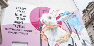 Dove e Peta insieme per proteggere il divieto di sperimentazione animale sui cosmetici.