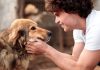GIORNATA MONDIALE DEL CANE, CINQUE BENEFICI DAL LORO AMORE