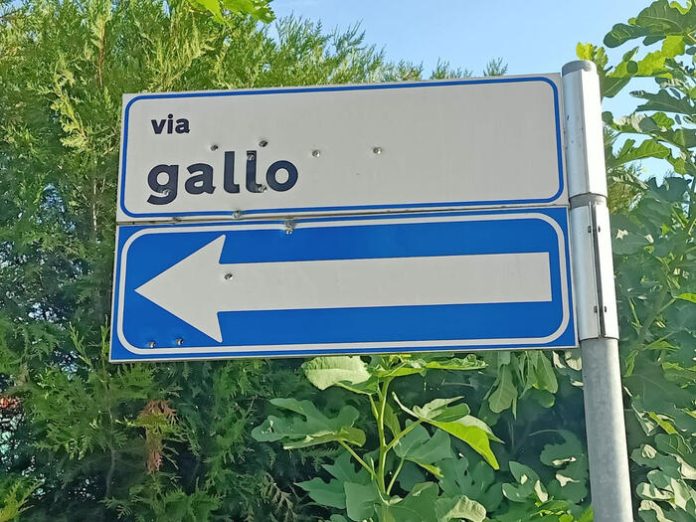 Bambino di 3 anni ferito da proiettile è grave