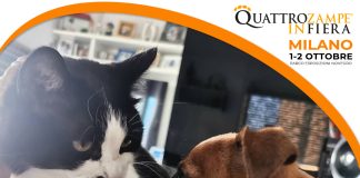 Quattrozampeinfiera, il mondo a misura di cane e gatto, 1 e 2 ottobre Parco Esposizioni Novegro.