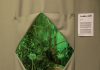 Triennale, gli appuntamenti della settimana.