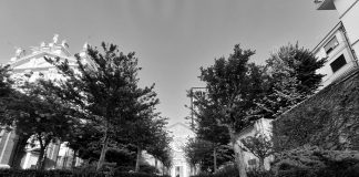 Partito Imponte a San Celso, direzione artistica di Enrico Ruggeri.