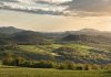 Oltrepò – Terra di Pinot Nero, un territorio, un vitigno, due eccellenze, lunedì 26 all’Antica Tenuta Pegazzera a Casteggio.