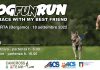 La corsa-camminata con il proprio amico a 4 zampe, Dog Fun Run domenica 18 a Valtorta.