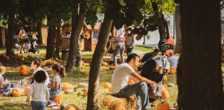 Al Villaggio delle Zucche questo weekend si parla di rapaci e Medio Evo.