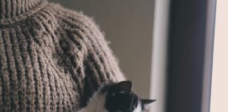 Pet economy: dall’aumento degli animali domestici ad un giro d’affari di 3,5 miliardi . Uno scenario che evolve e che ribadisce l’importanza del ruolo dei medici veterinari, sempre più in ottica preventiva.
