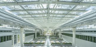 “La natura al centro della ricerca e della progettazione degli spazi di lavoro”, venerdì 30 in Triennale per Green Week – Forestami.