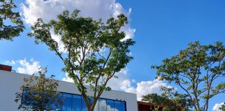 Politecnico, nuovo polo dell’innovazione nel campus Bovisa.