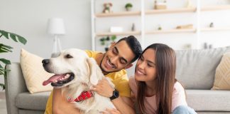 Giornata mondiale degli animali: i consigli per una casa a misura di pet owner.