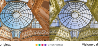 Fondazione Paolina Brugnatelli in collaborazione con Gallerie d’Italia – Milano, e con il supporto tecnologico di EnChroma guida i visitatori daltonici “Alla Scoperta del Colore”
