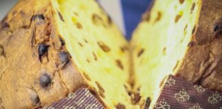 Mastro Panettone, la sesta edizione, tutti i qualificati alla finale di Bari.