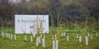 B. Braun con Forestami pianta 300 nuovi alberi al Parco Nord Milano.