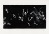 Forma e movimento, mostra fotografica di Carla Cerati da Leica Gallerie dal 25 gennaio.