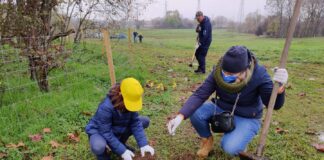 Prosegue l’impegno di Fastweb per un futuro più “green” di Milano.
