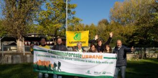 CamminaForesteUrbane 2022: 3mila partecipanti, 340km percorsi, 125 realtà territoriali coinvolte. Si può firmare l’appello di Legambiente e Ersaf anche online.