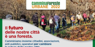 CamminaForesteUrbane: oltre 50 appuntamenti in tutta la lombardia per riscoprire il verde delle città e un appello da firmare per la riforestazione della regione.