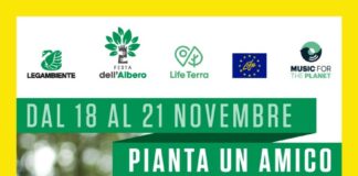 Giornata Nazionale degli Alberi: nel weekend torna la Festa dell’Albero con piantumazioni in tutta la Lombardia.