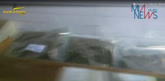 Traffico internazionale di droga, GdF arresta 42 persone e sequestra 500kg di stupefacenti.