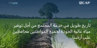 Gruppo Cap lancia sito istituzionale in arabo.