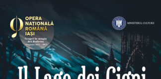 Il Lago dei Cigni sabato 4 al Teatro Lirico.